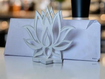 Lotus Napkin Holder (needs to be redone)