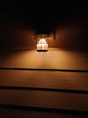 Light Bulb Shield for Dark Skies and Glare Reduction