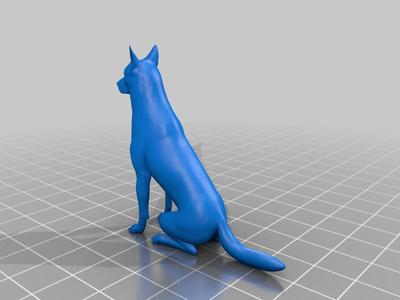 Female German shepherd dog