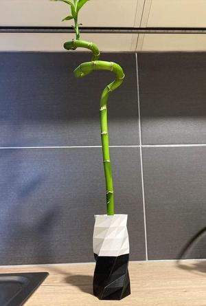 Vase bamboo