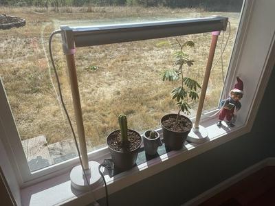 Windows sill grow light stand