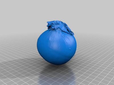 Onion