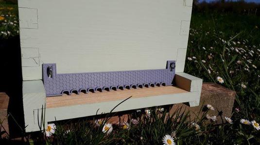 Small hive entrance door - With filtering