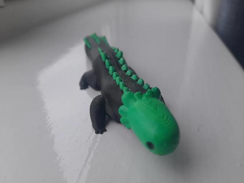 Green lizard (Rain world)   