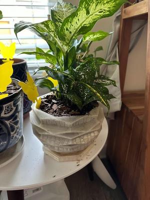 Low Poly Planter