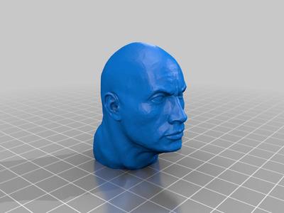 Putin´ s Head  