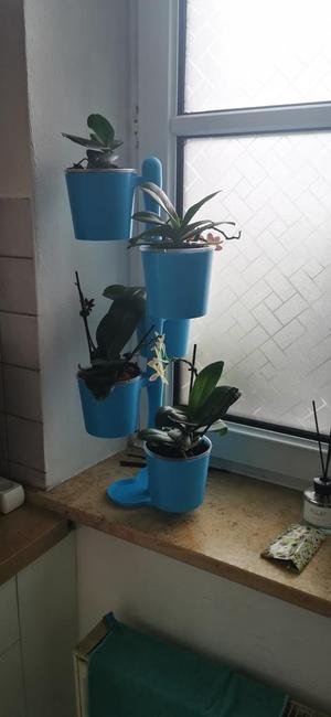 Plant tower