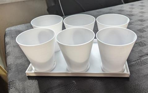 Small plant pots with tray