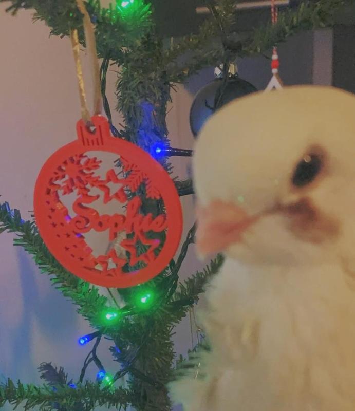 Sophie's Classic Christmas Ornament With Name(s) 