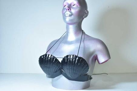Shells Bra