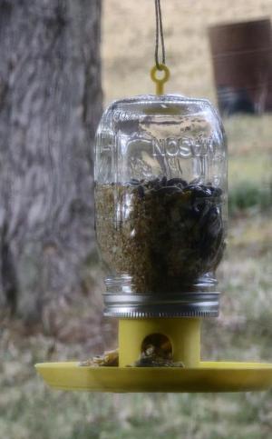 Bird Feeder Hanging Loop