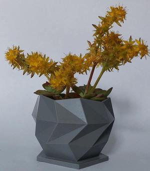 GeoBloom Planter