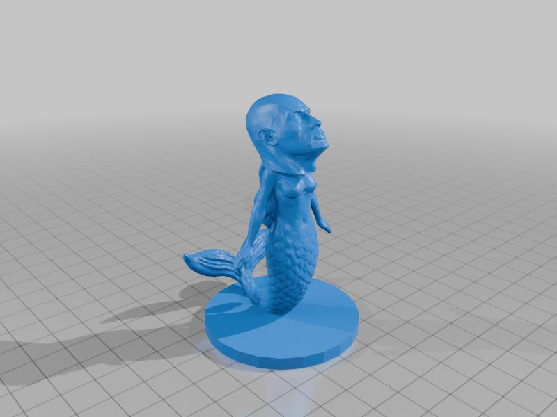 rock mermaid