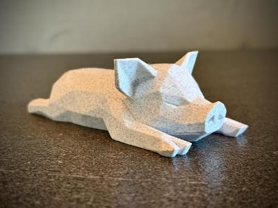 Low Polypig