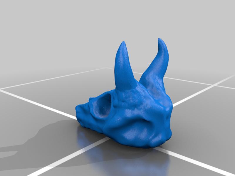 Horned Animal Skulll