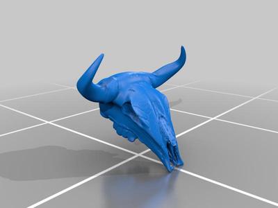 Bull Skull