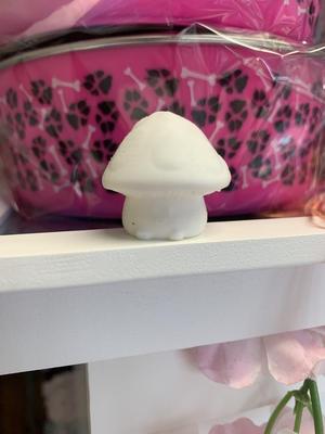 mushroom toad