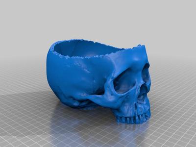 Halloween Skull Planter with liner