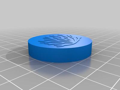 PARwise Lens Cap