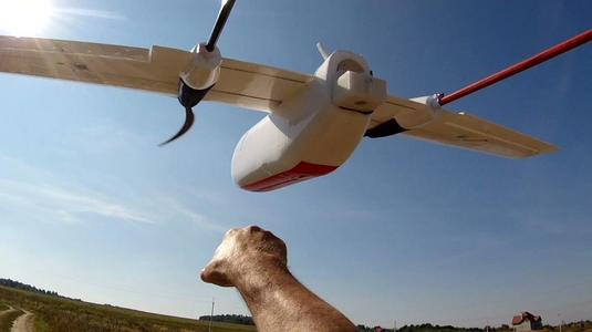 Box Sony Cyber-shot DSC-RX0 