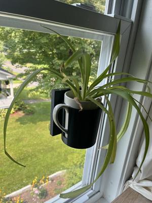 Window mug holder 