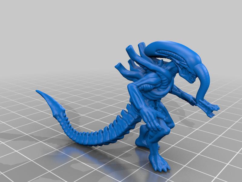 Ultramorph Xenomorph 