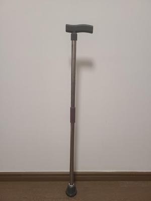 Cane accessory