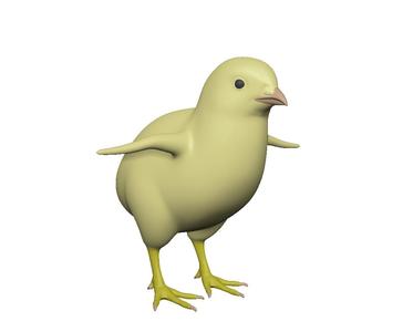 chick