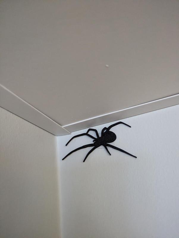 Spider PRANK