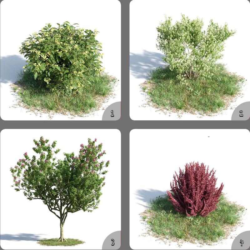Green Tree Flowers 3D Model