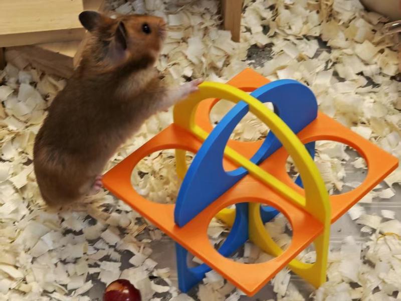 Hamster Fitness Wheel (Hamster Toy)