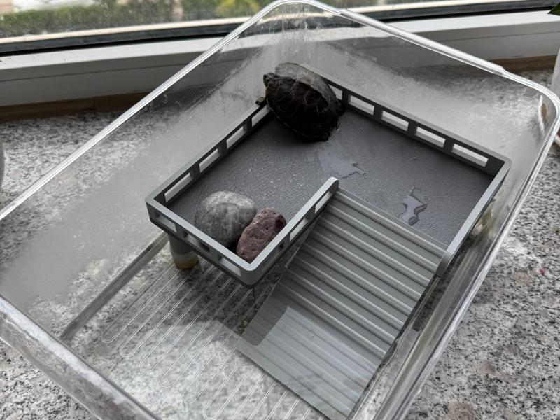 turtle basking platform