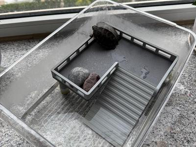 turtle basking platform