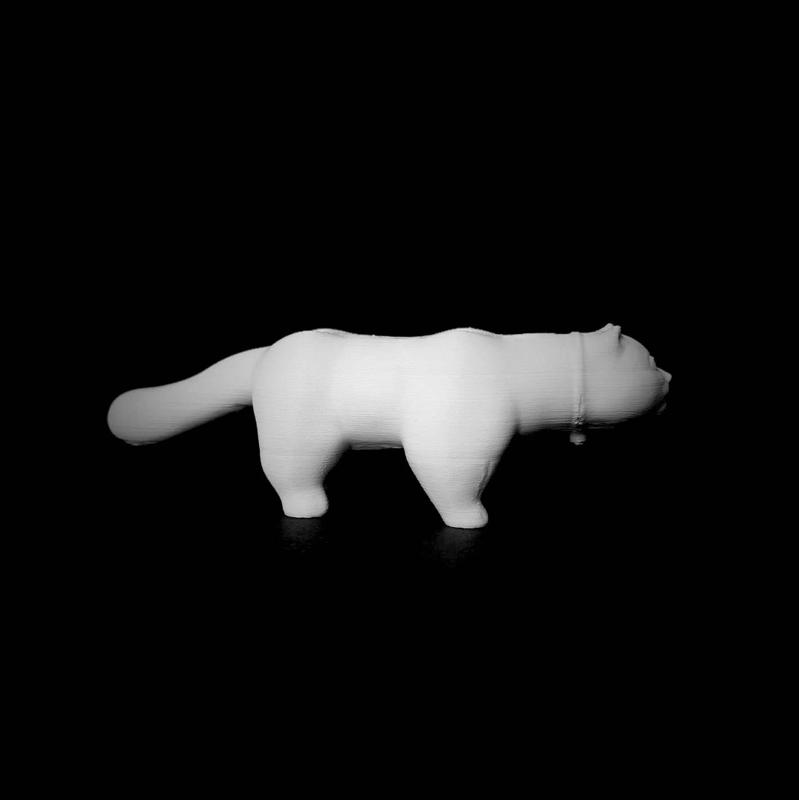 El Gato in Barcelona