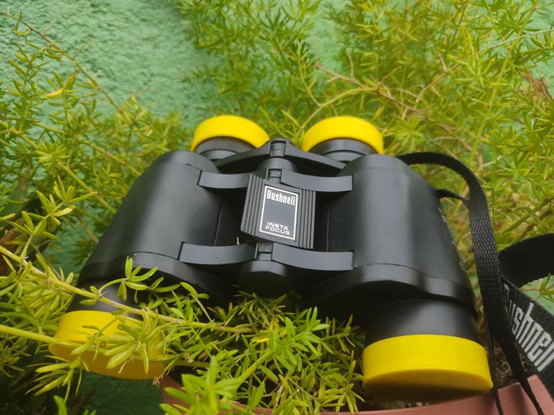 Lens cover for binoculars
