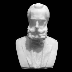 Torok Janos in Timisoara, Romania