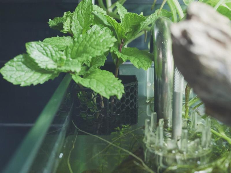 Fish tank corner planter