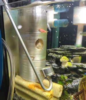 Underwater Aquarium Bacteria Growth Oxygenation Filter Box