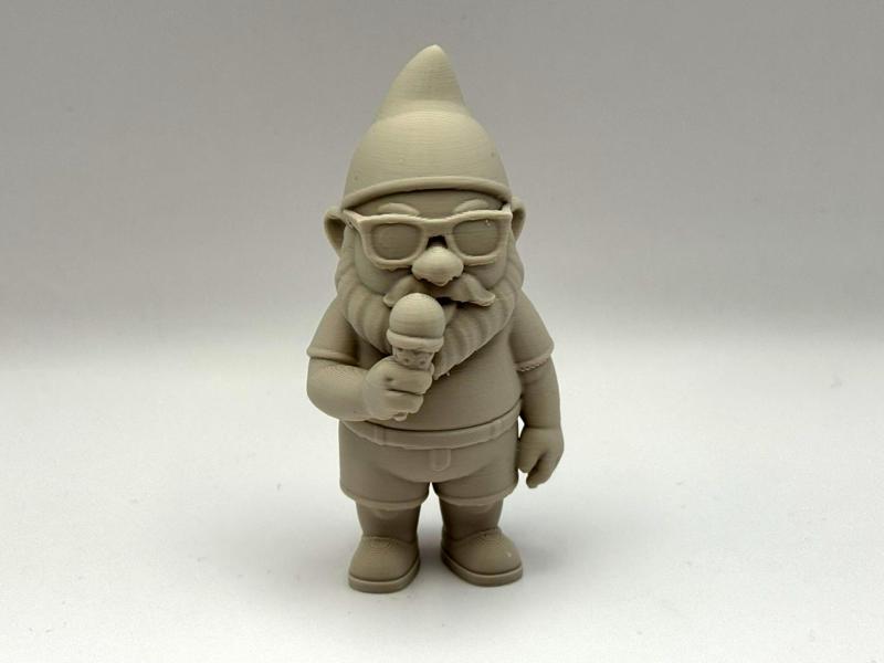 Cool Gnome Summer