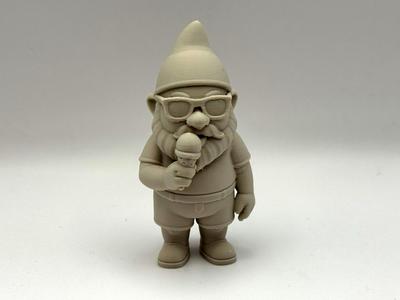 Cool Gnome Summer