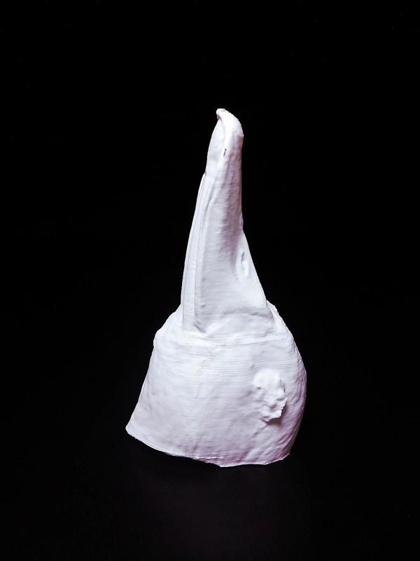 West Indian Whistling-duck head