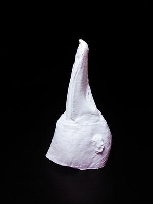 West Indian Whistling-duck head