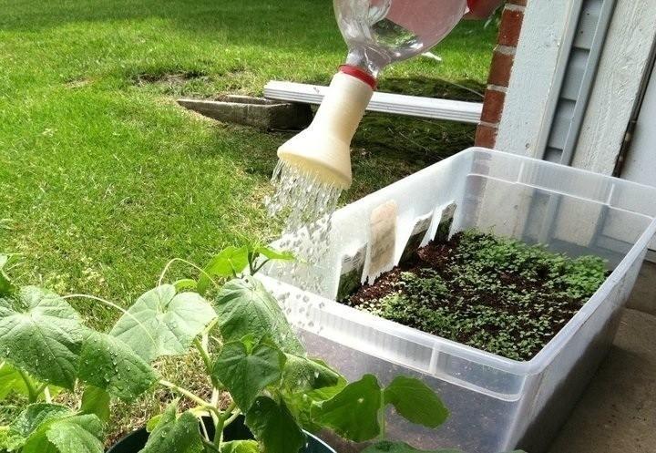 Watering spout for 2 liter bottle