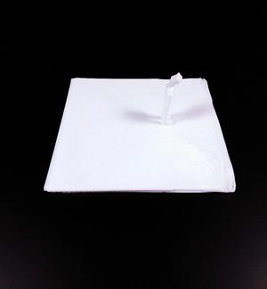 Scary Person Starring