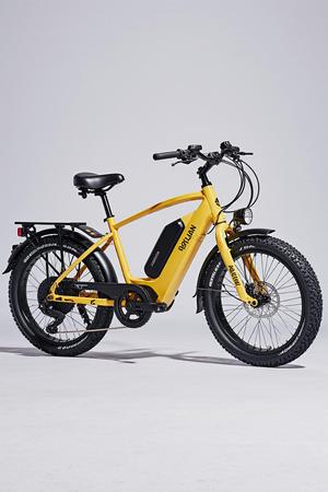 Ergonomic Low-Step Commuter Electric Bicycle