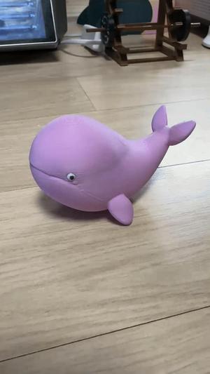 Cute Whale
