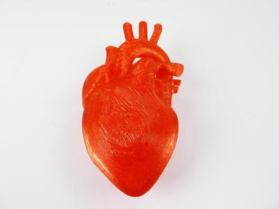 Human Heart