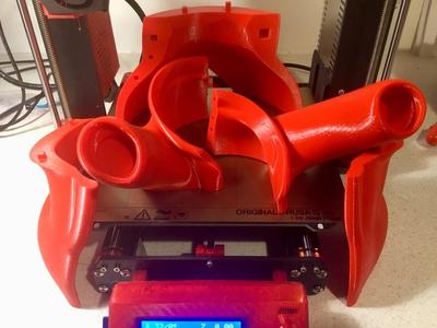 White Rabbit - Supersized at 250%