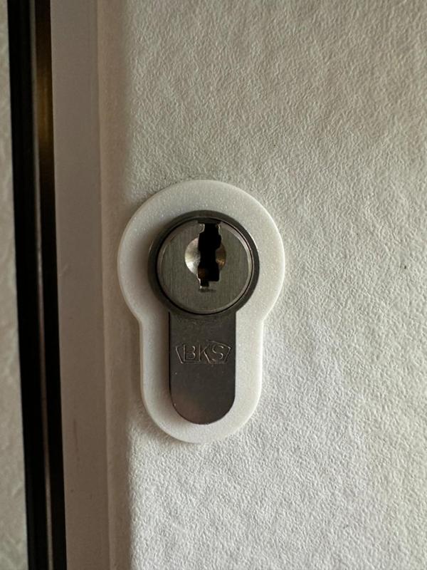 lock cylinder rosette