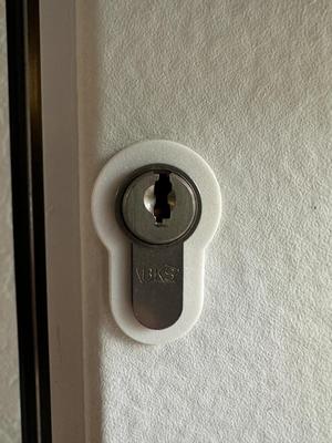 lock cylinder rosette